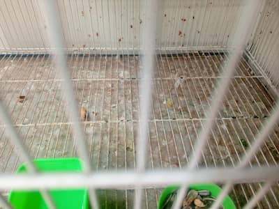 Parrot cage