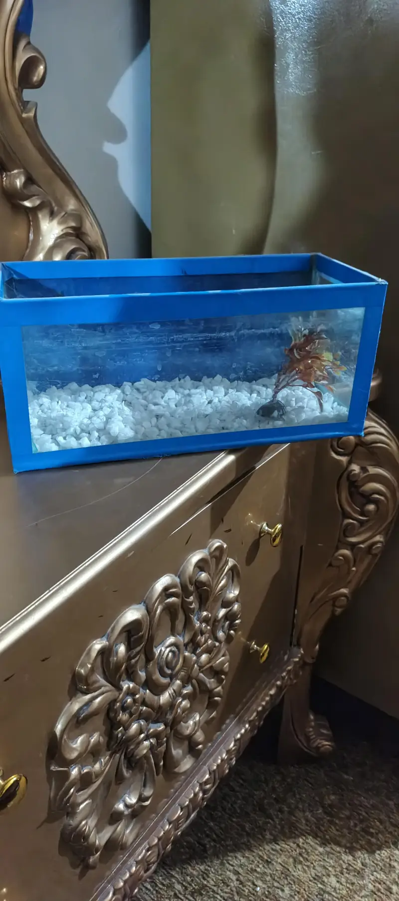 Small Aquarium for sell