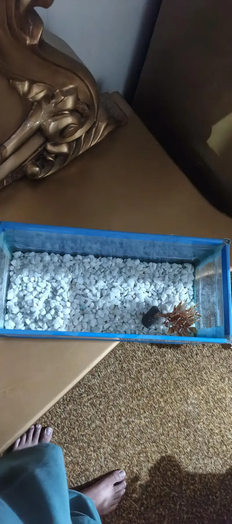 Small Aquarium for sell — photo 2
