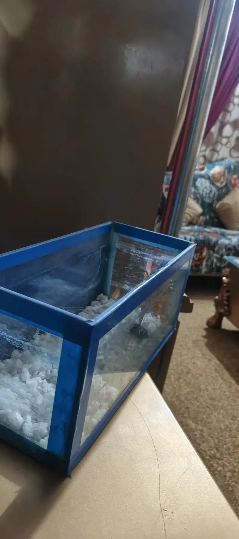 Small Aquarium for sell — photo 4