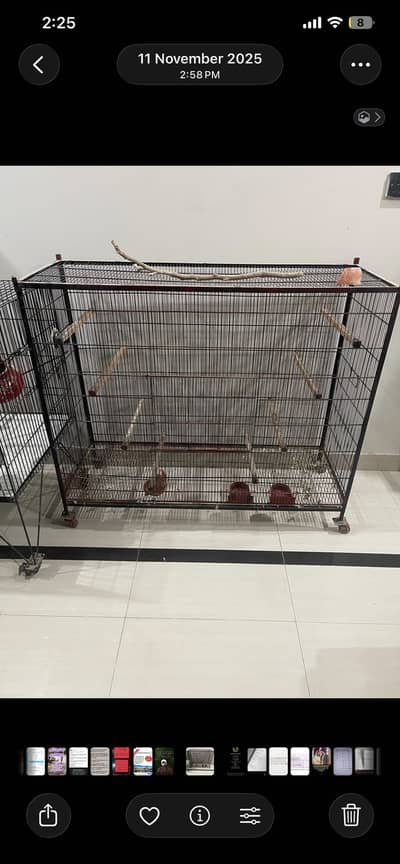 Flying cage for sale