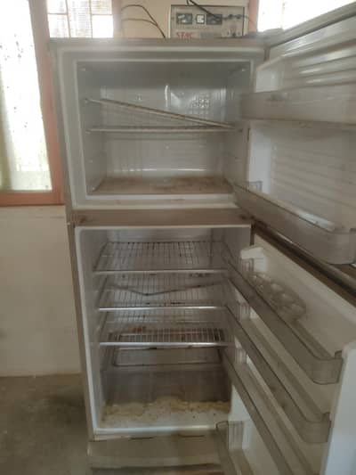 freezer and washing machine