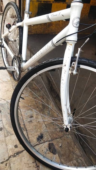 Giant hybrid cycle