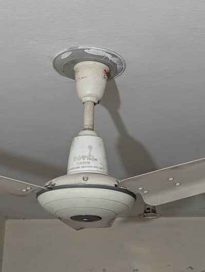 Ceiling fan