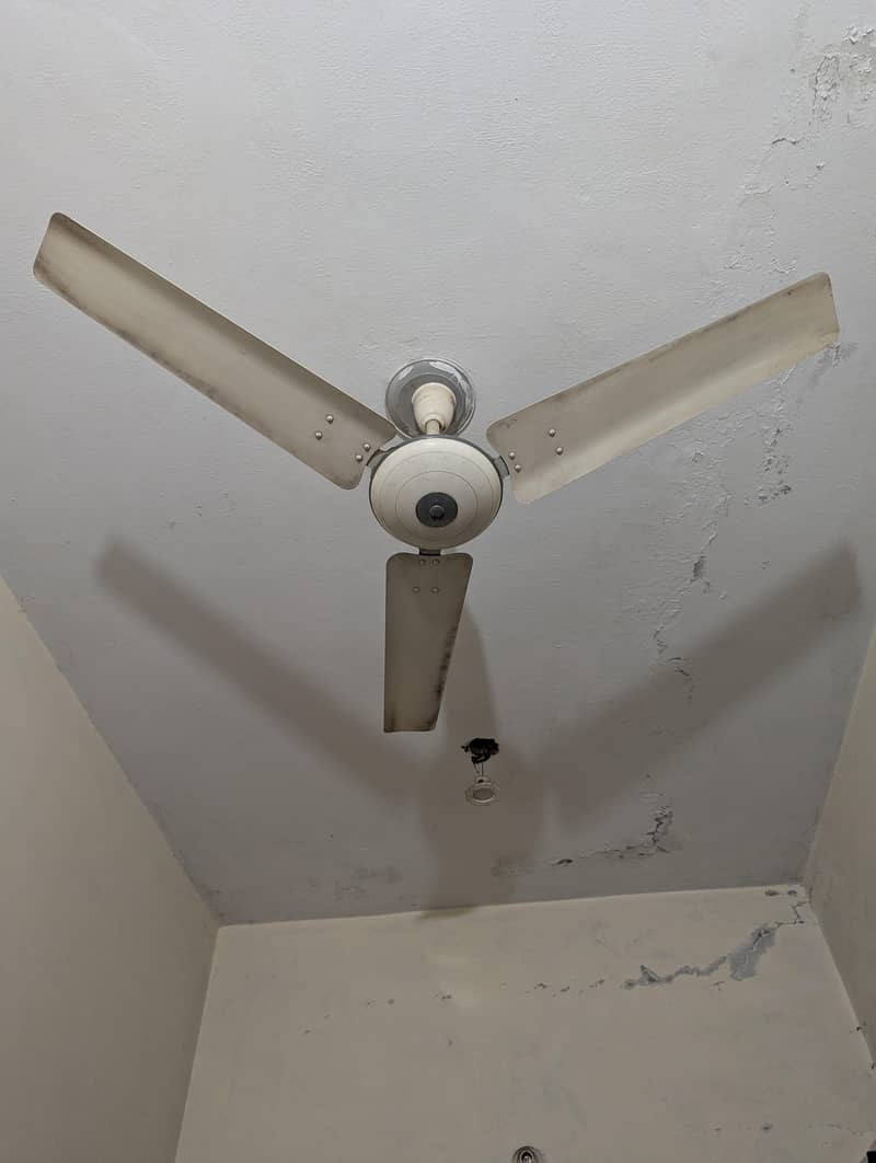 Ceiling fan 1