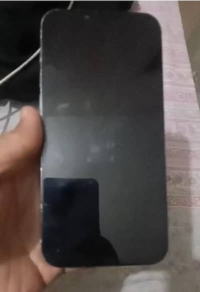 iphone 12 pro max dead