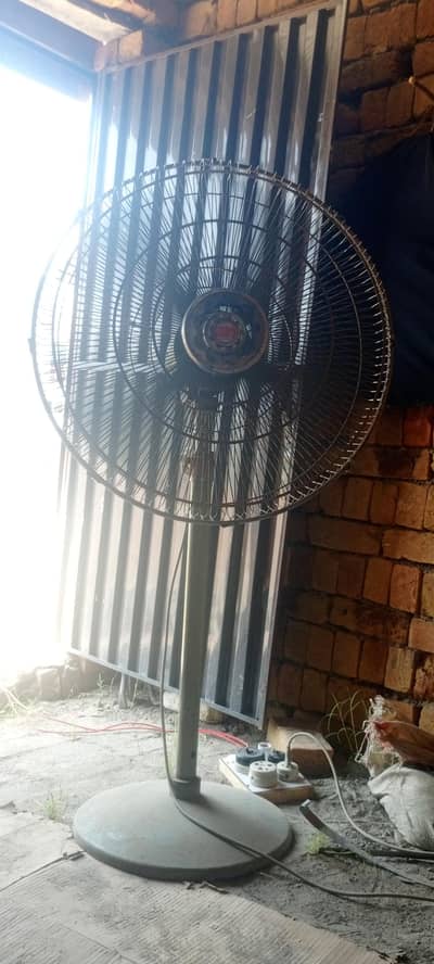 Fan use