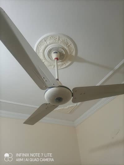 ceiling fan for sale