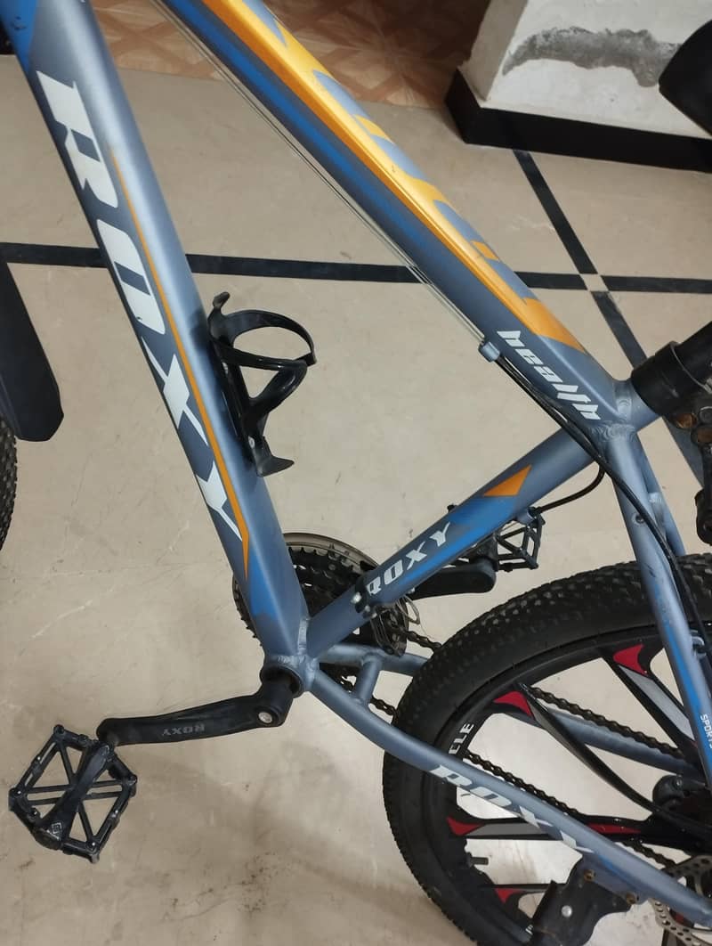Cycle 3