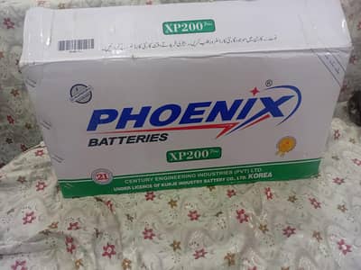 UPS Battery
