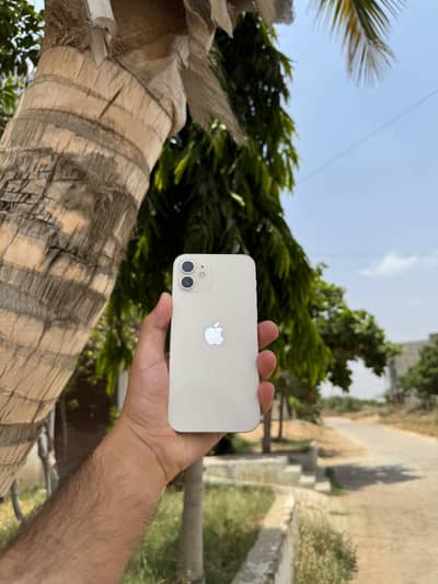 Apple iPhone 12