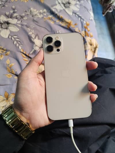 Apple iPhone 12 Pro Max