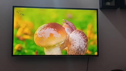 TCL Original Led Tv For Sale