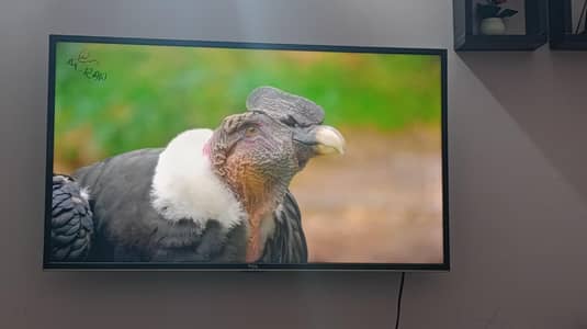 TCL 40 inch Smart Android Led Tv For Sale