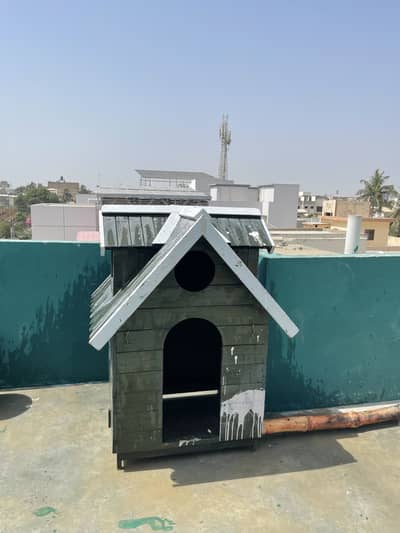 Dog luxury house