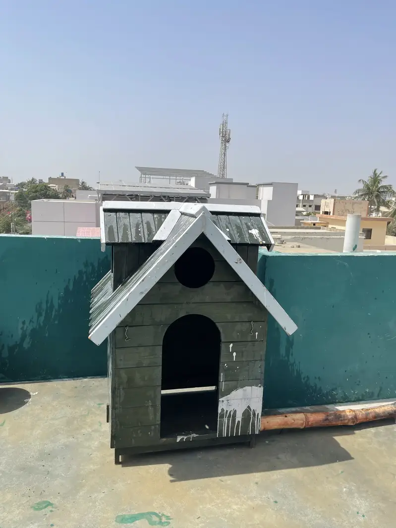 Dog luxury house — photo 2