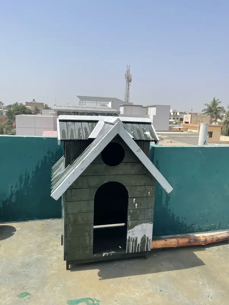 Dog luxury house — photo 3