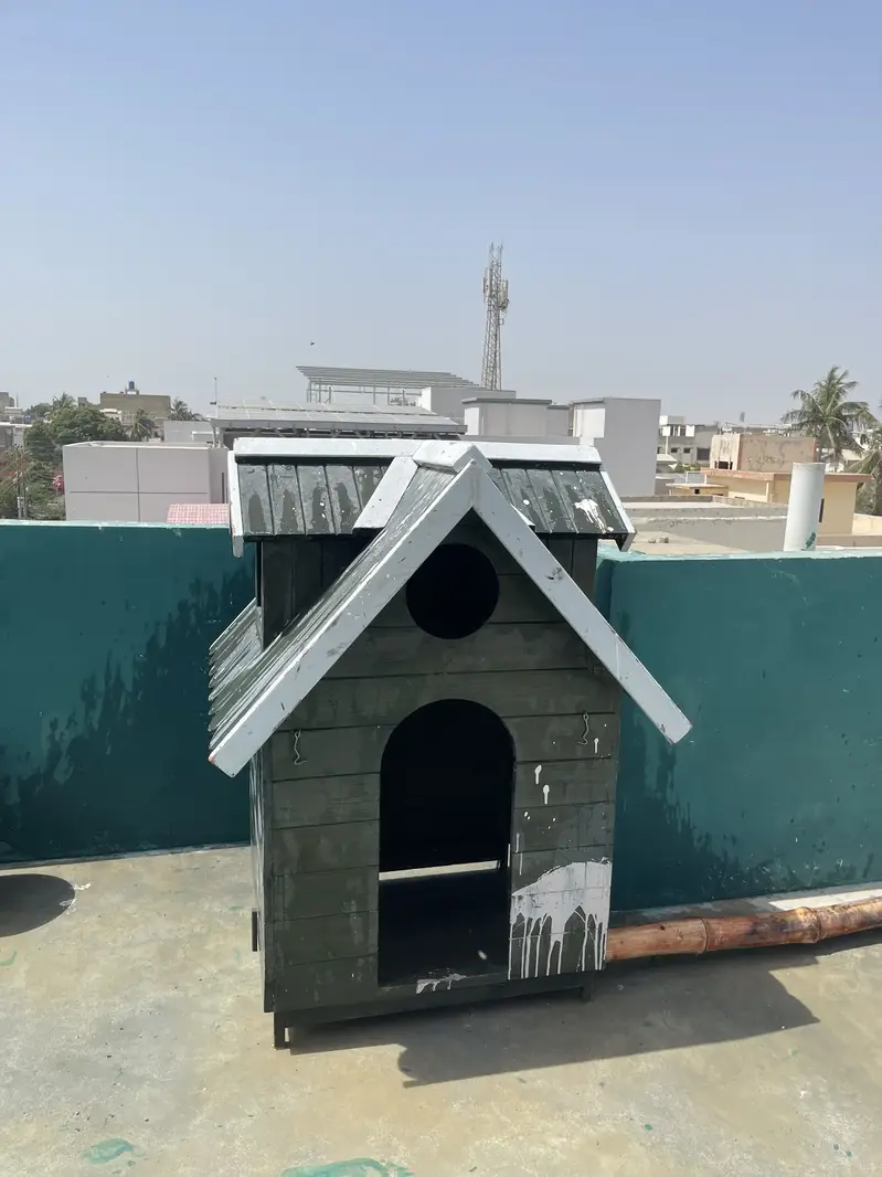 Dog luxury house — photo 4