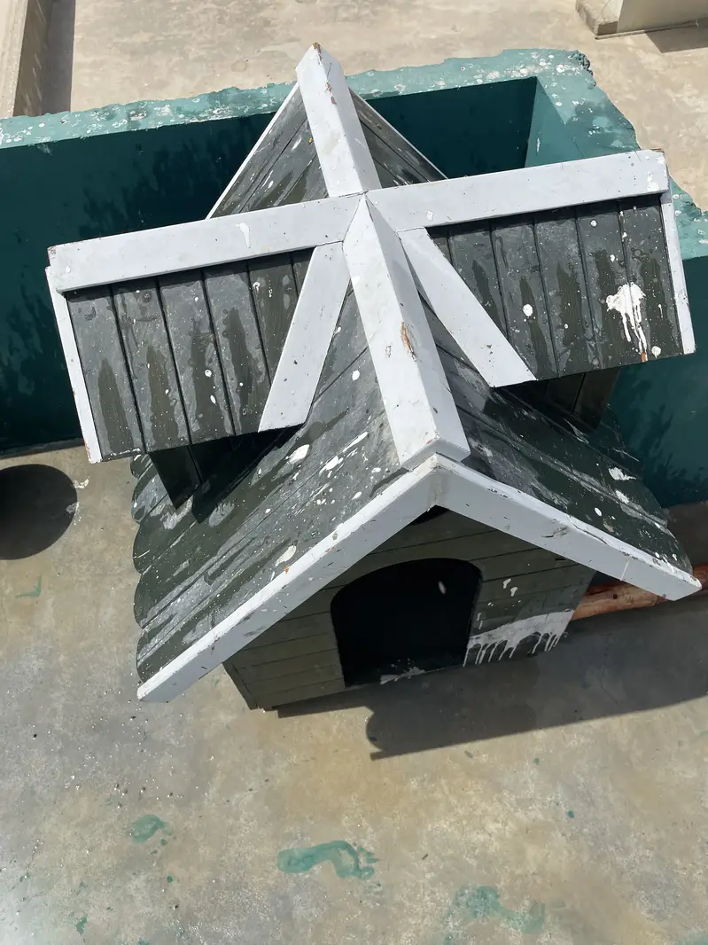 Dog luxury house — photo 5