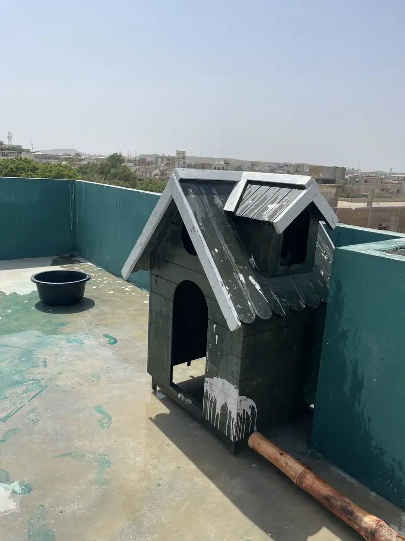 Dog luxury house — photo 7