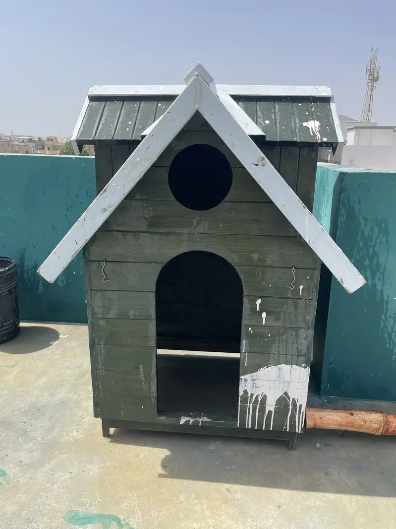 Dog luxury house — photo 12