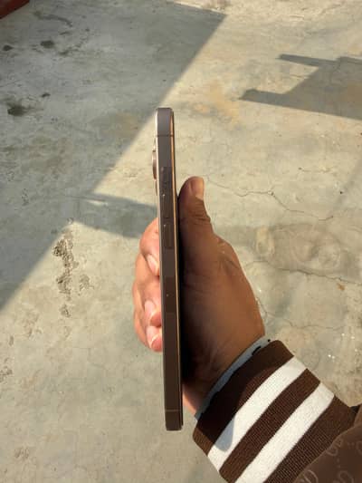 16 pro max (512GB)