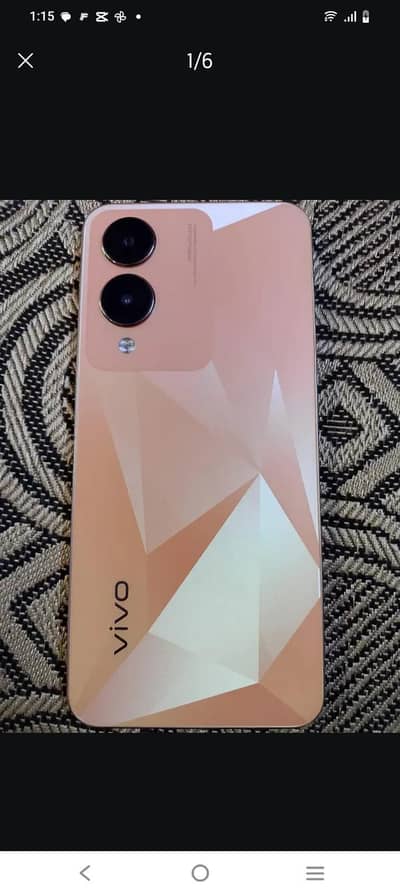Vivo Y17s