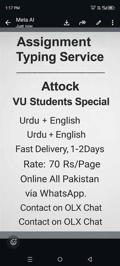 Assignment  typing service Attock online