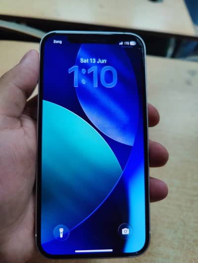 Apple iPhone 12