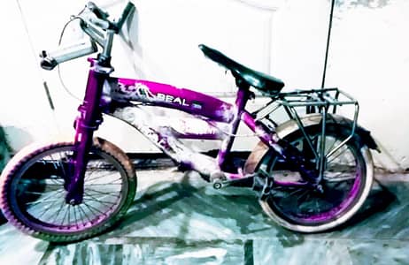 2 cycles 22 inch and above