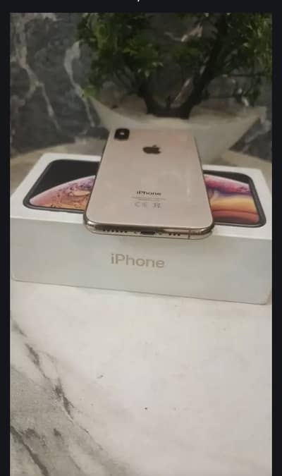 Apple iPhone XS
