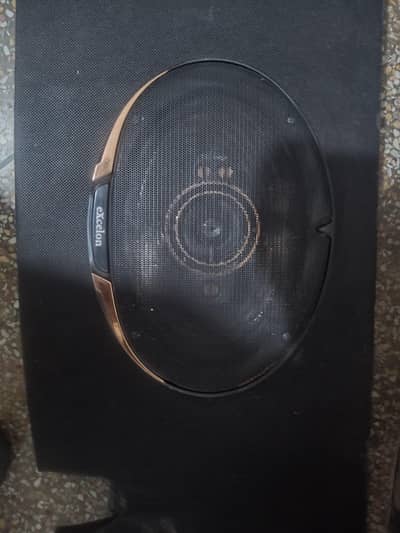 speaker new ha