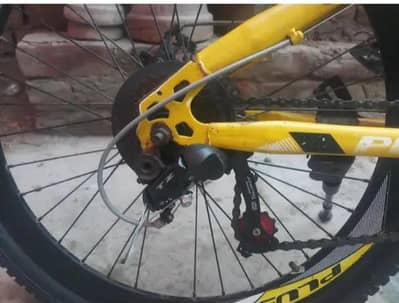 Best cycle