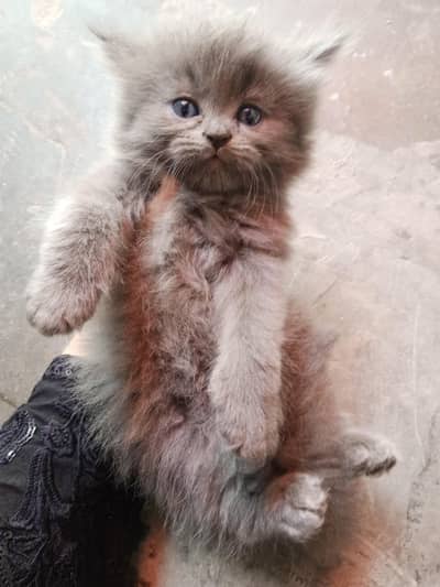 blue eyes
