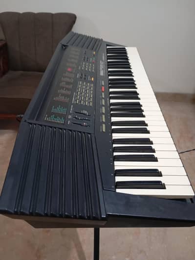 Musical Instruments
