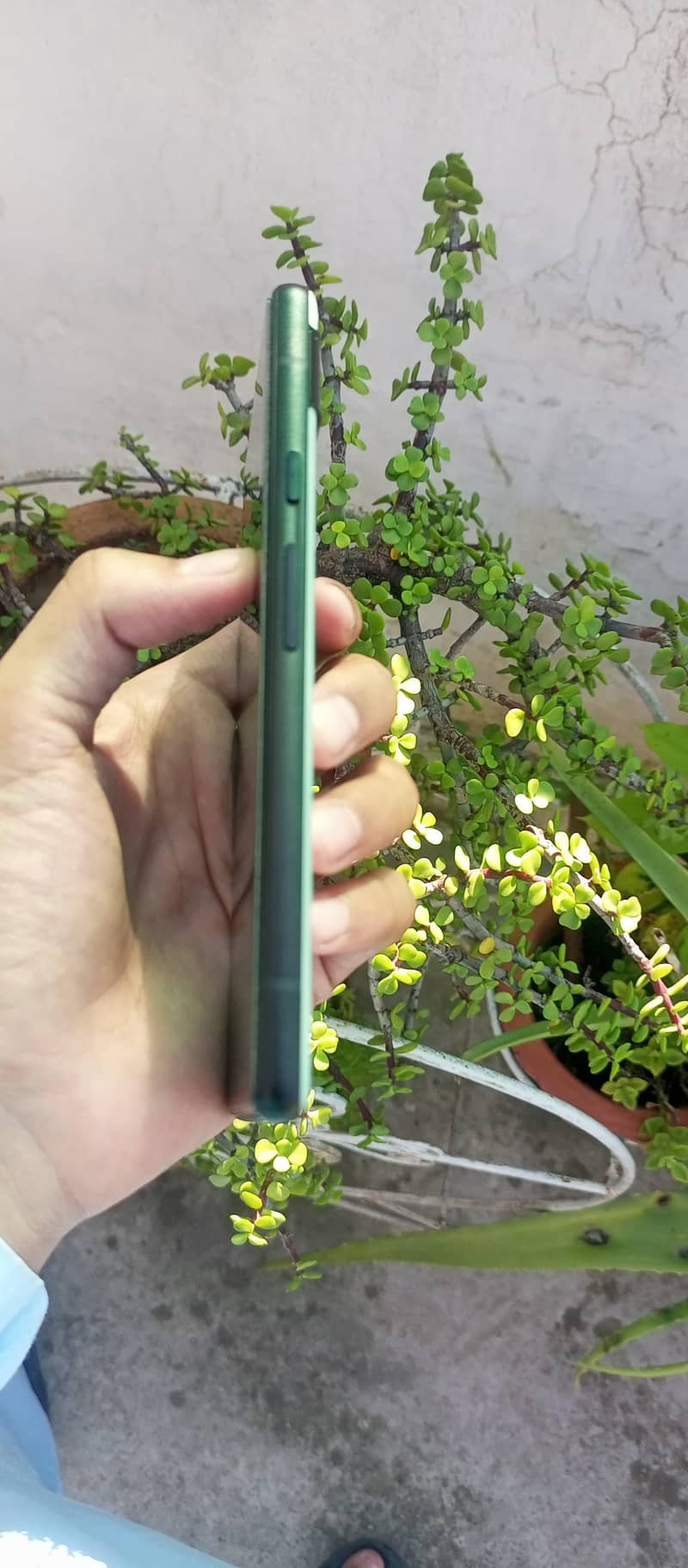 Google Pixel 6a 3