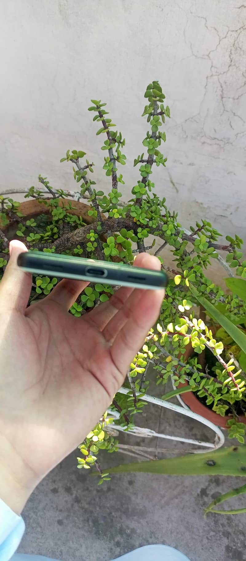 Google Pixel 6a 4