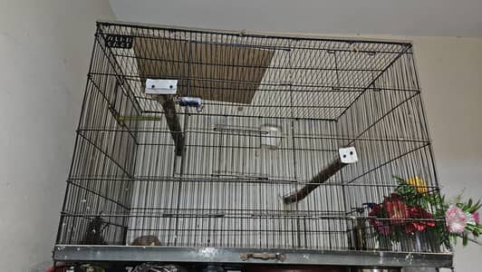 cage for sale