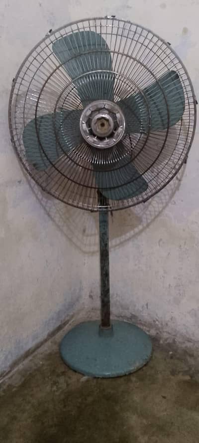 Fans. .