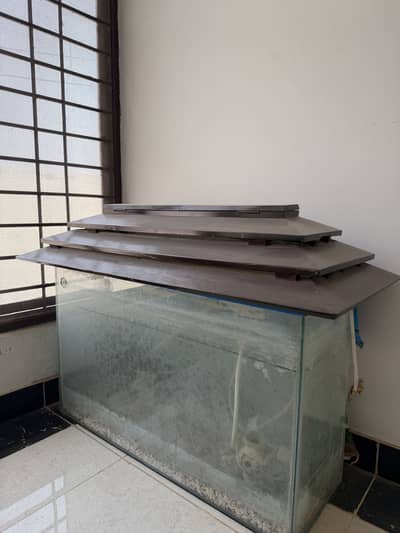 Fish Aquarium