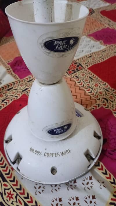 PAK FAN 56"