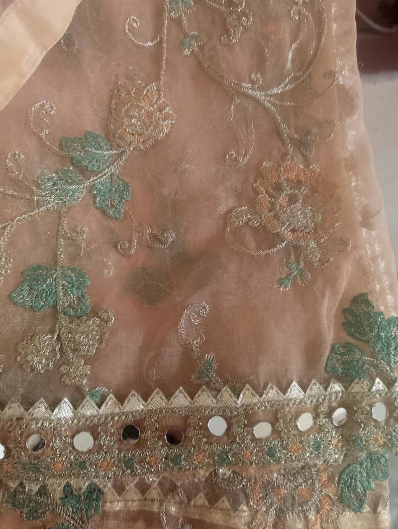 fancy suit 1