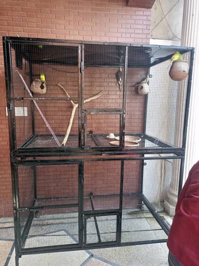 Cage ! Hen cage ! Bird cage ! iron cage