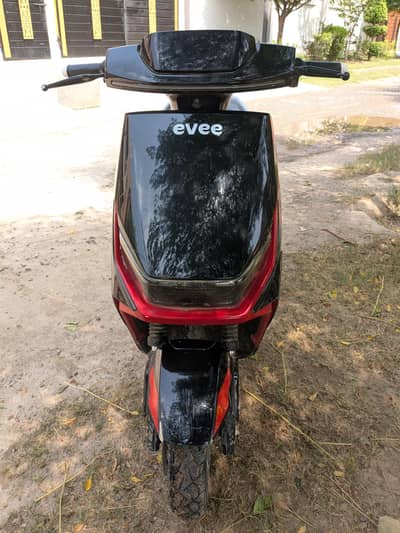 evee genz