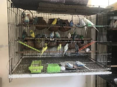 Sale sale