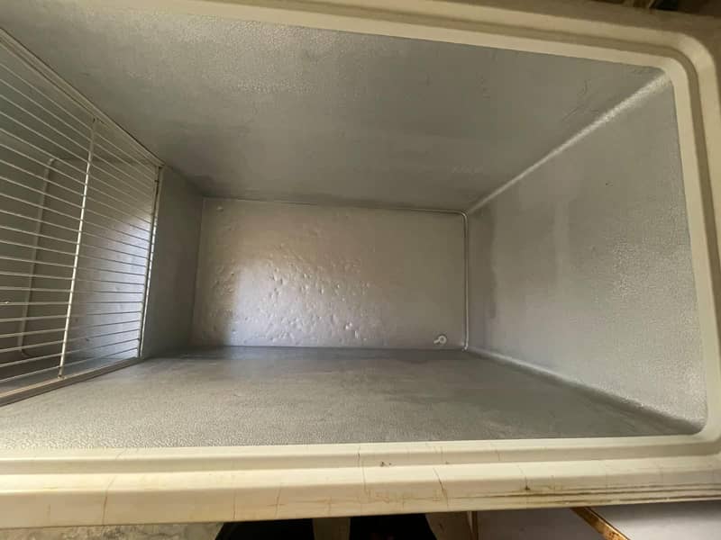 wave's freezer 1
