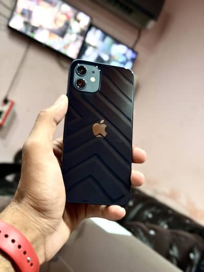 iPhone 12 Bulbul k bacha