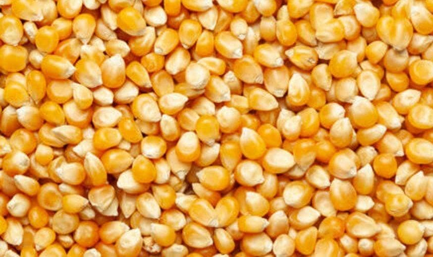 Corn  2