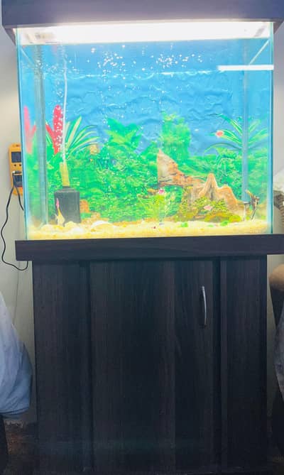 New condition