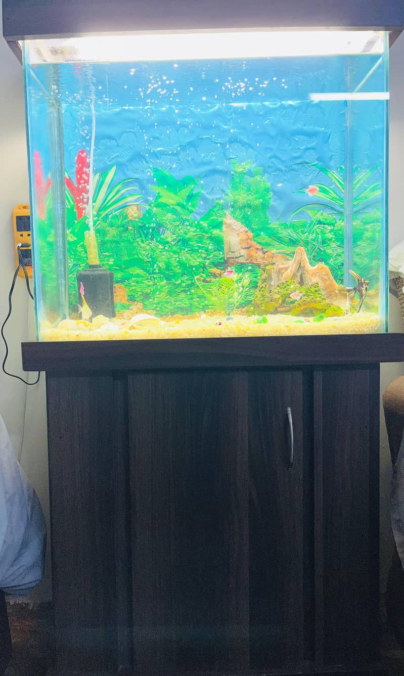 New condition 0